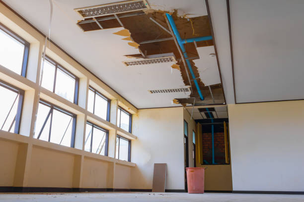 Best Sewage cleanup and water damage restoration  in Warsaw, MO