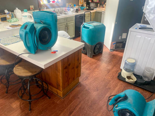 Best Carpet water damage restoration  in Warsaw, MO
