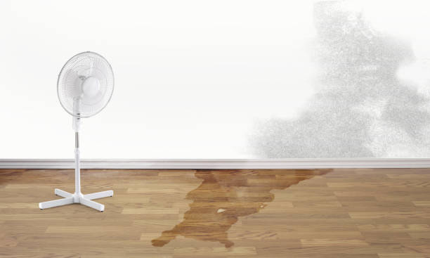 Best Commercial water damage restoration  in Warsaw, MO