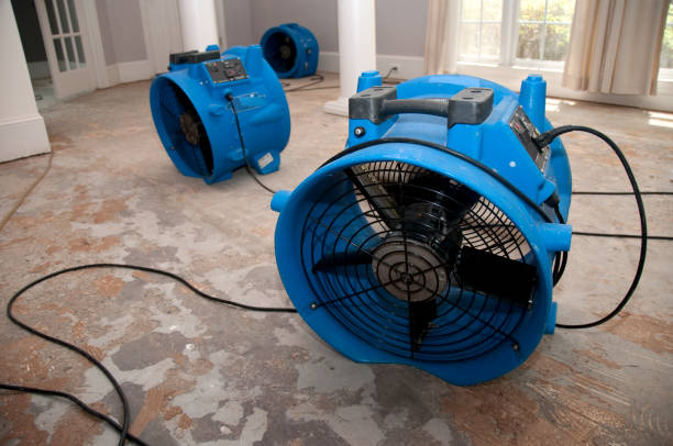 Best Water damage cleanup near me  in Warsaw, MO