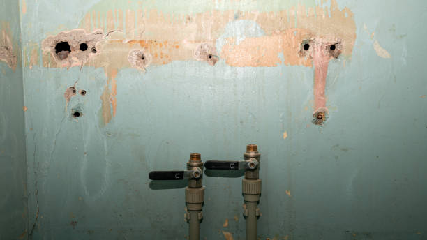 Best Flood restoration services  in Warsaw, MO