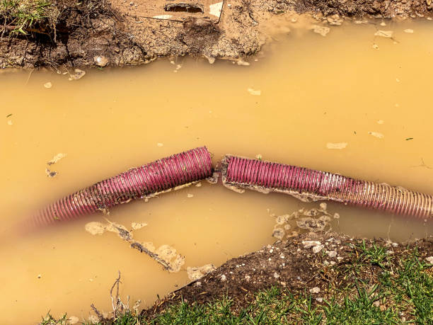 Best Basement water damage restoration  in Warsaw, MO