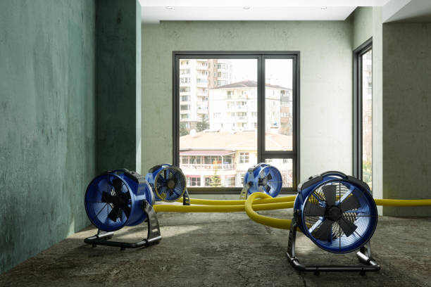 Best Carpet water damage restoration  in Warsaw, MO