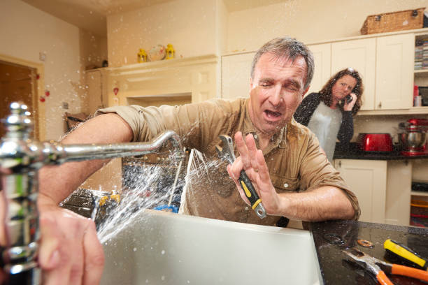 Best Professional water damage repair  in Warsaw, MO